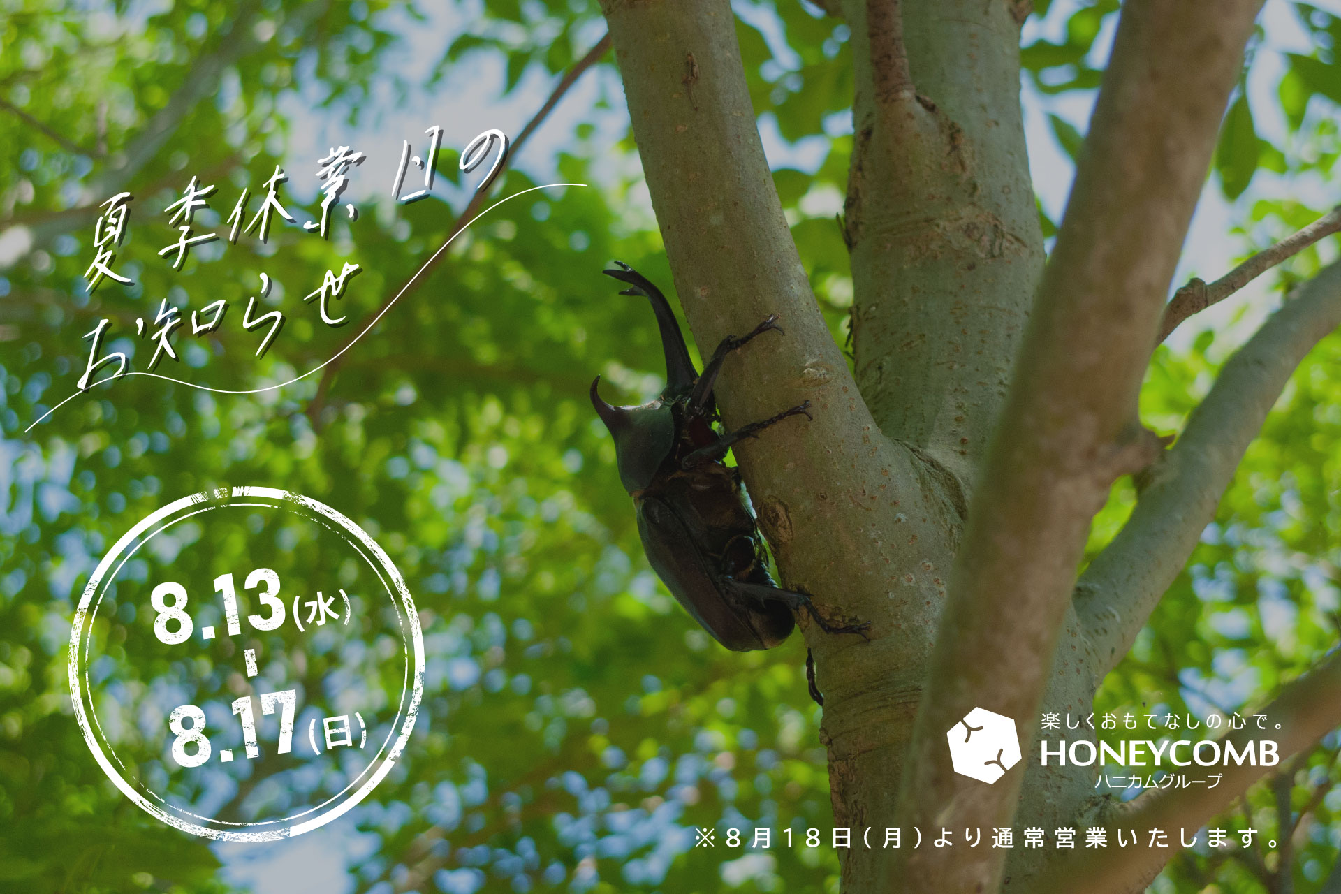 夏季休業2025
