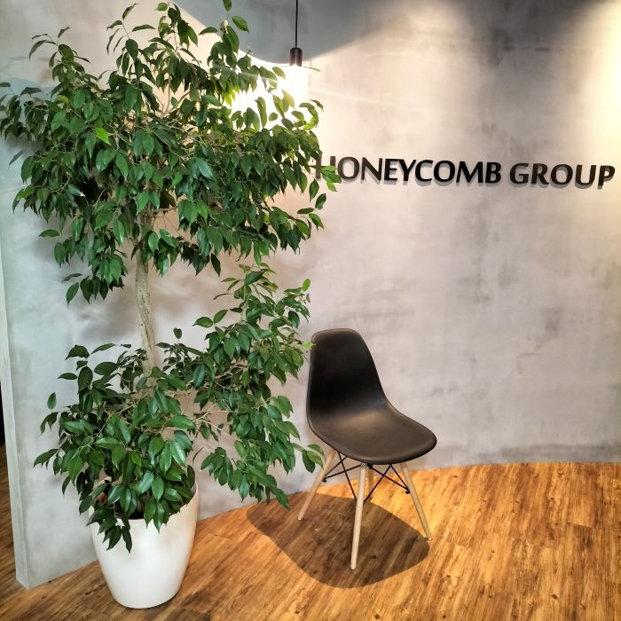 エントランスの木